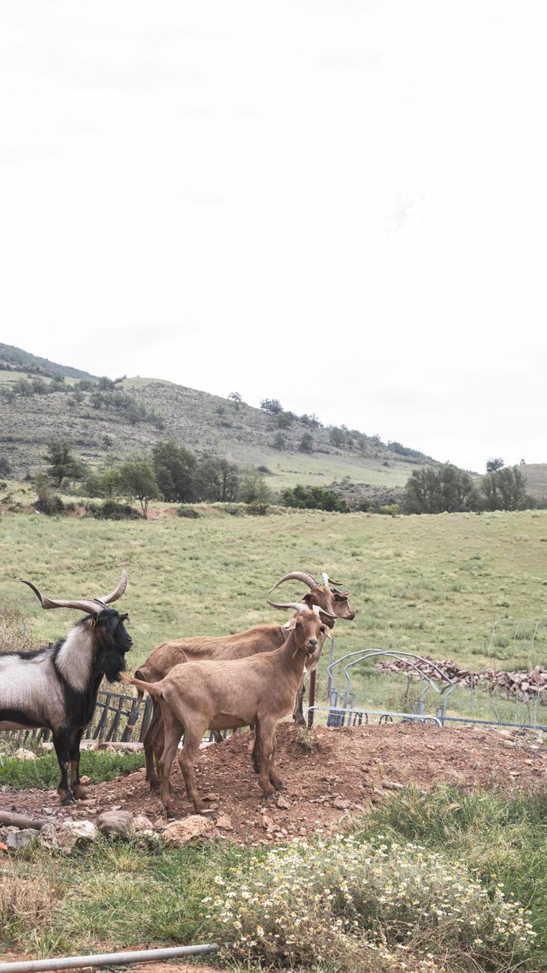 Apartamentos Turisticos Real Valle Ezcaray Zorraquín Exteriér fotografie